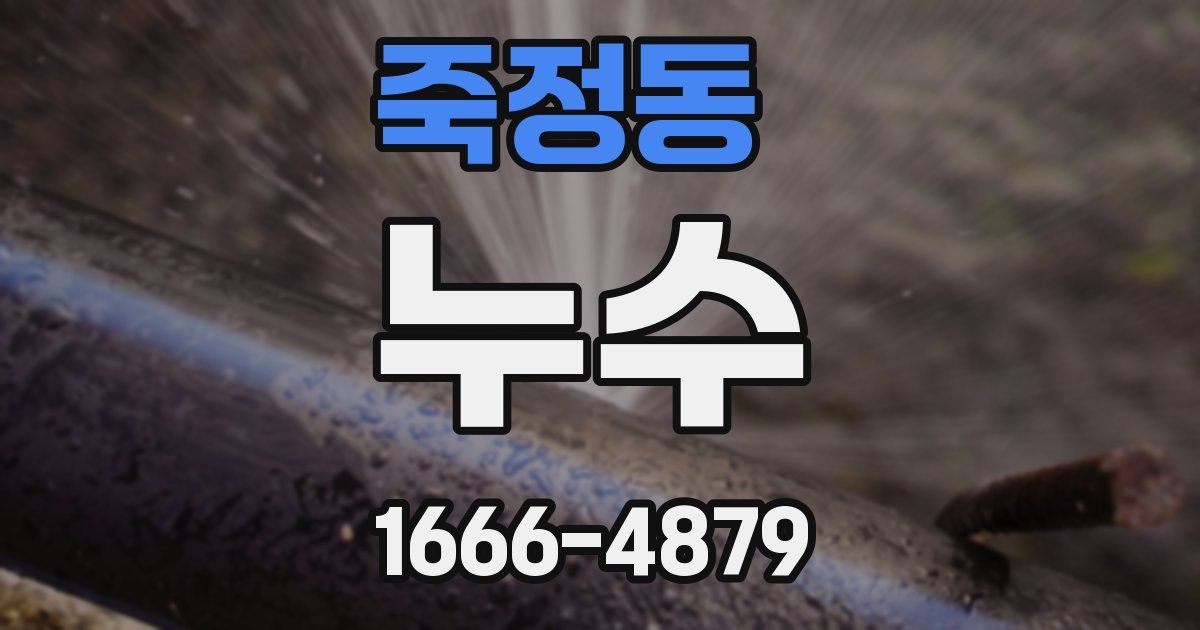 죽정동 누수