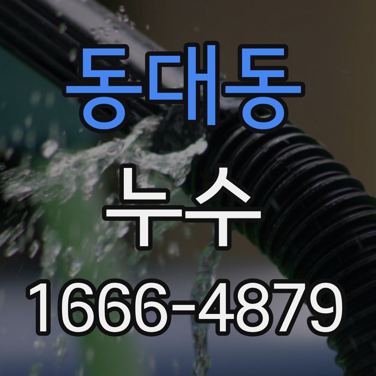 동대동 누수