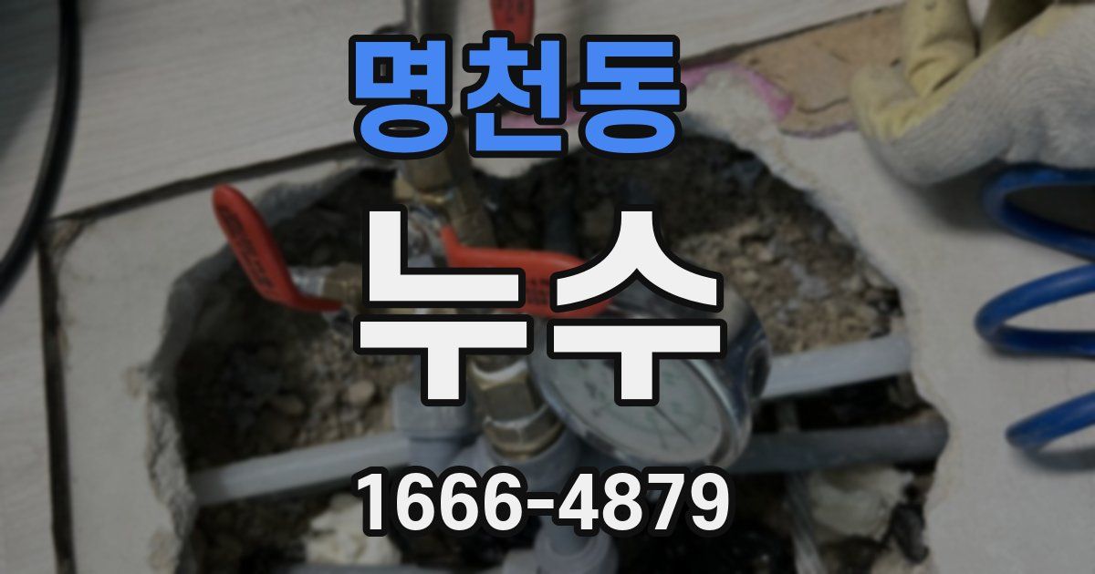 명천동 누수