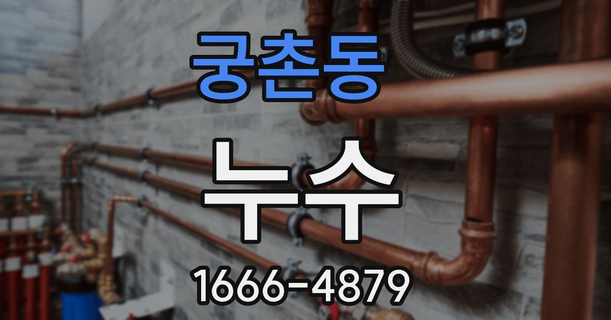궁촌동 누수