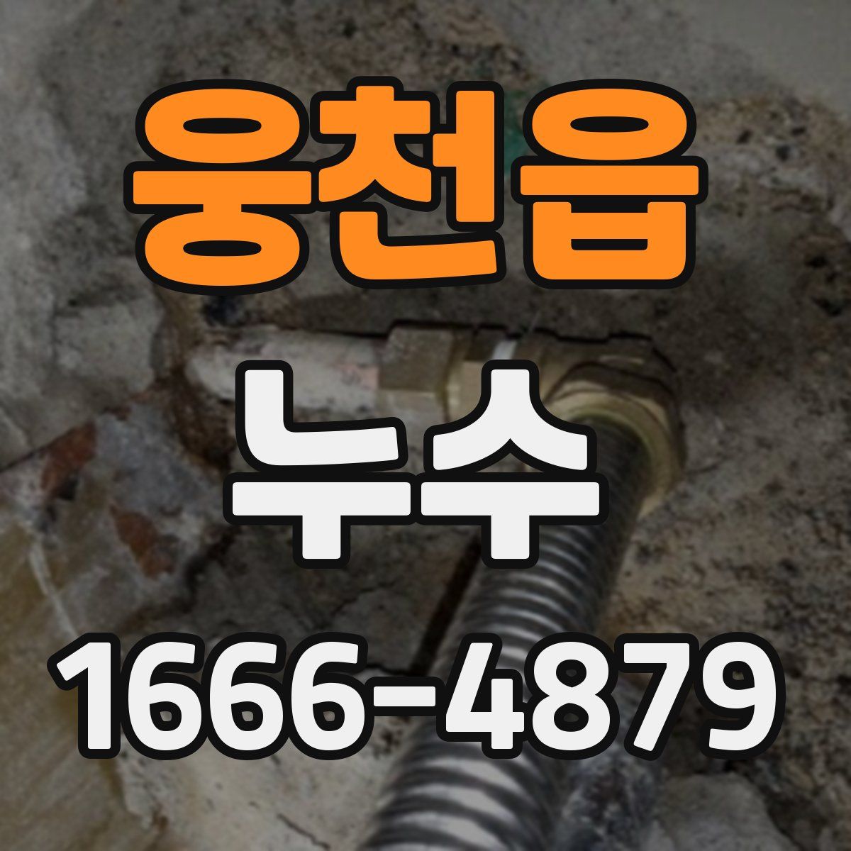 웅천읍 누수