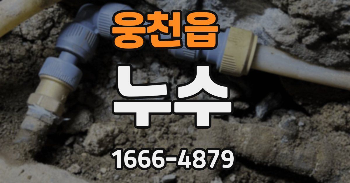 웅천읍 누수