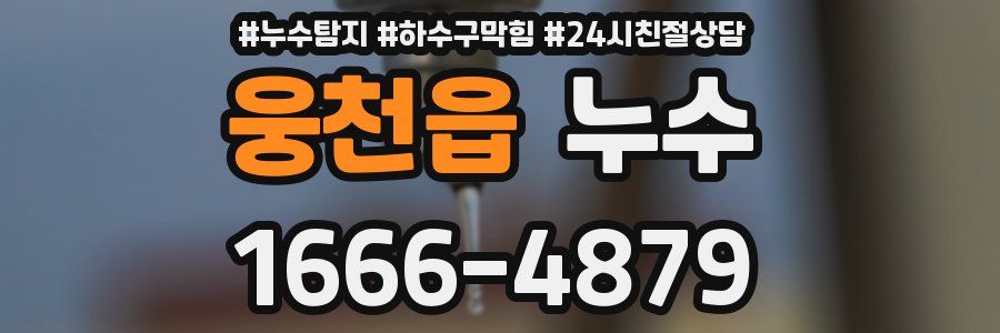 웅천읍 누수