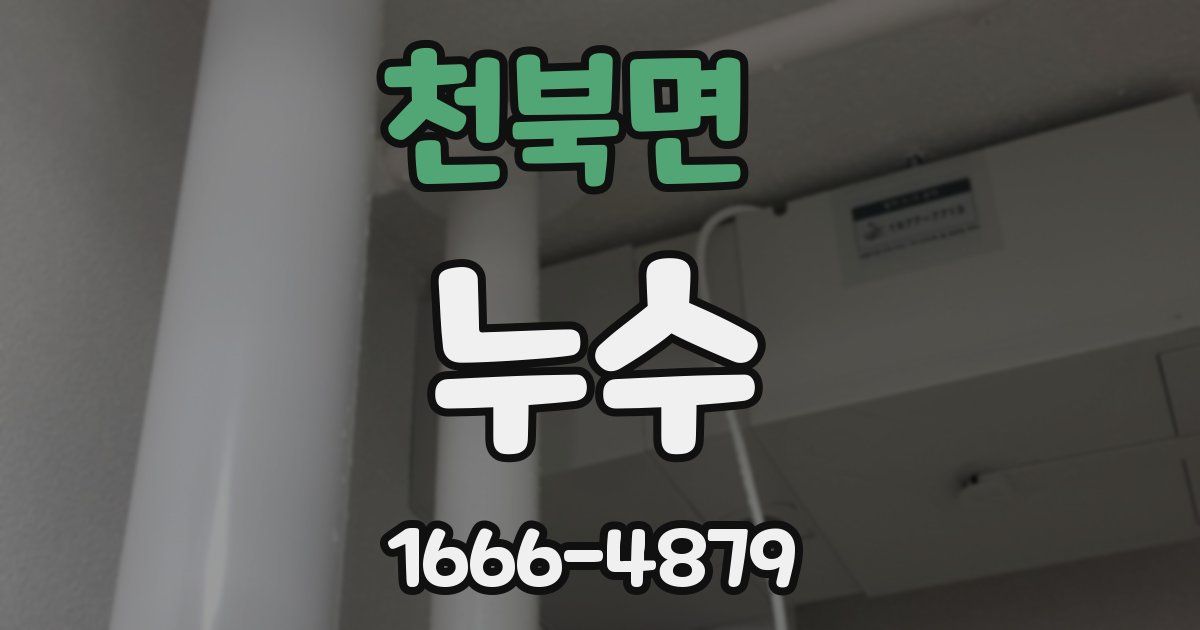 천북면 누수