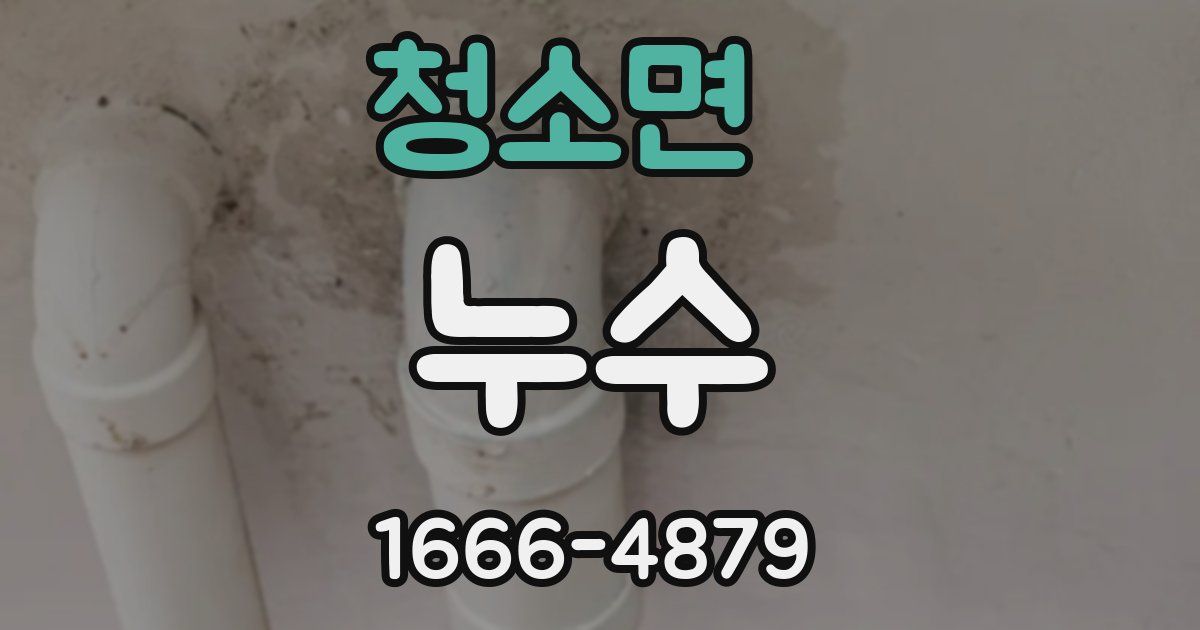 청소면 누수