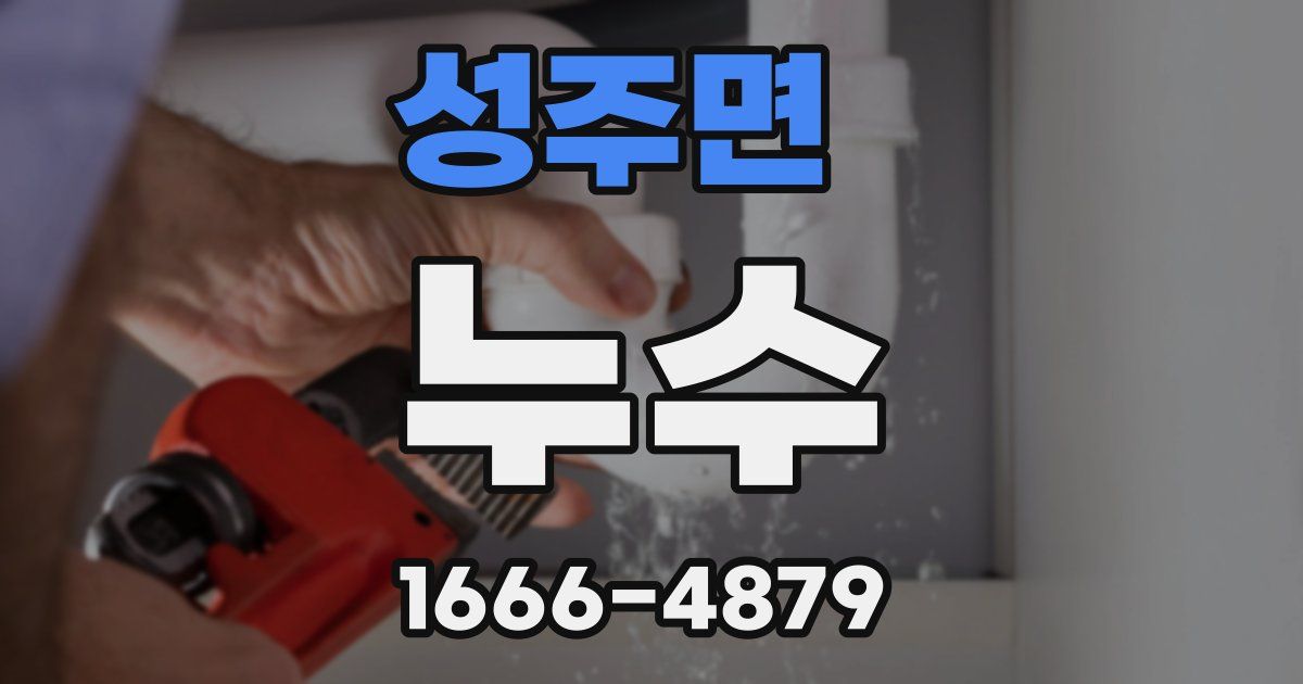 성주면 누수