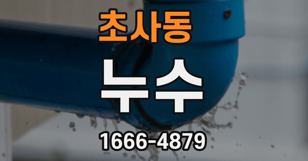 초사동 누수