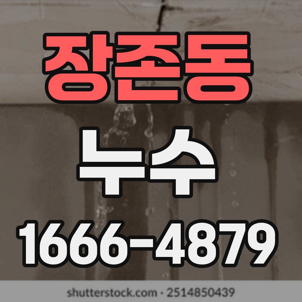 장존동 누수