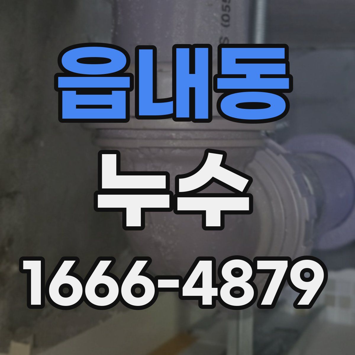 읍내동 누수