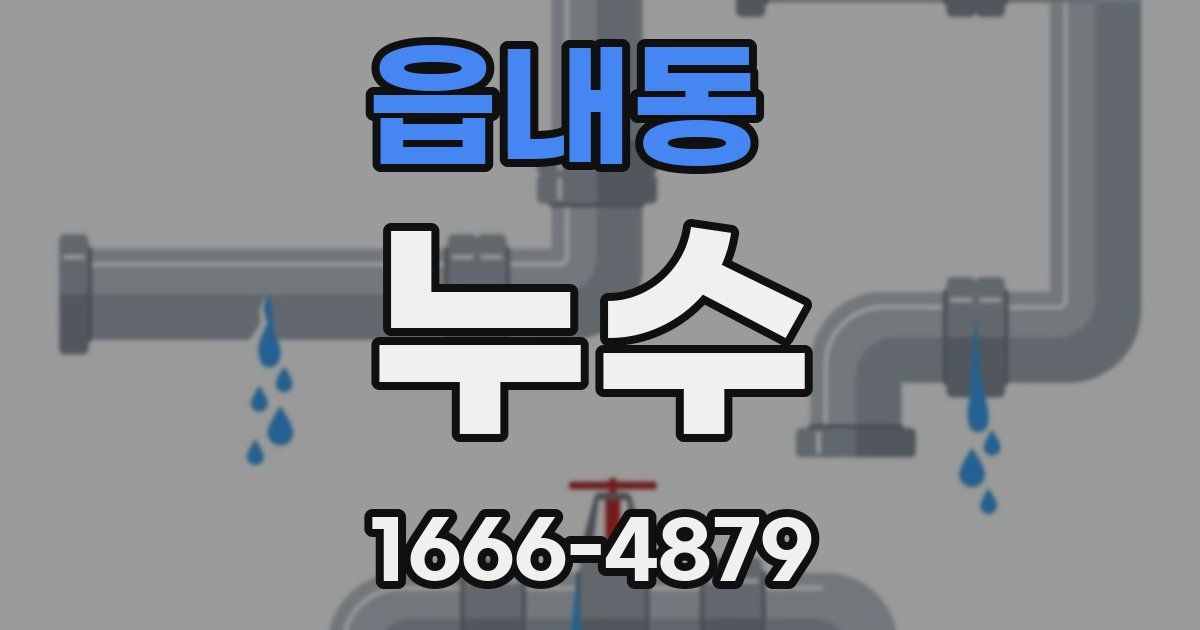 읍내동 누수