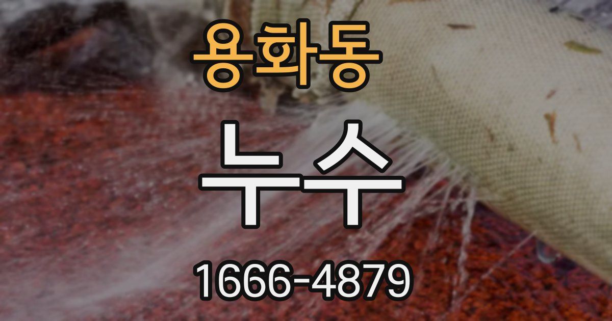 용화동 누수