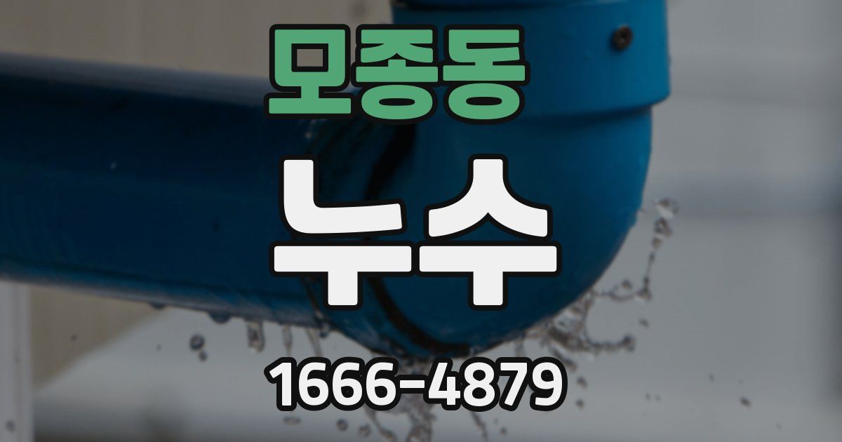 모종동 누수