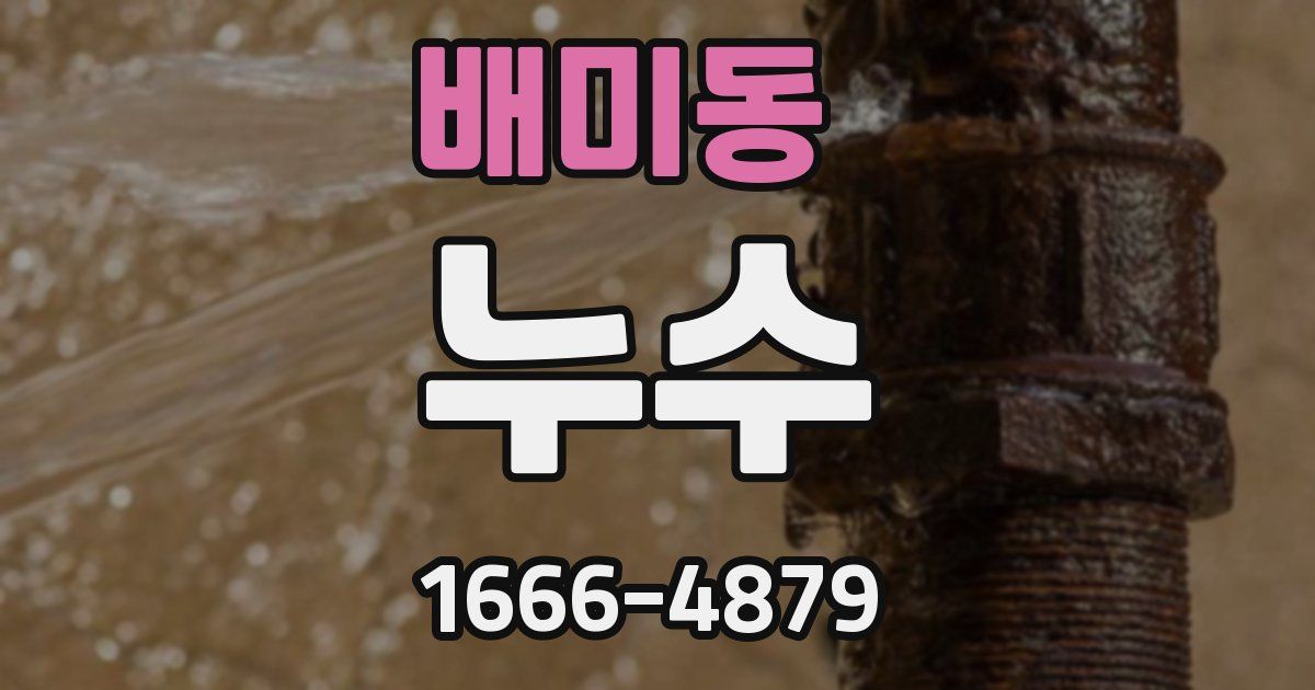 배미동 누수