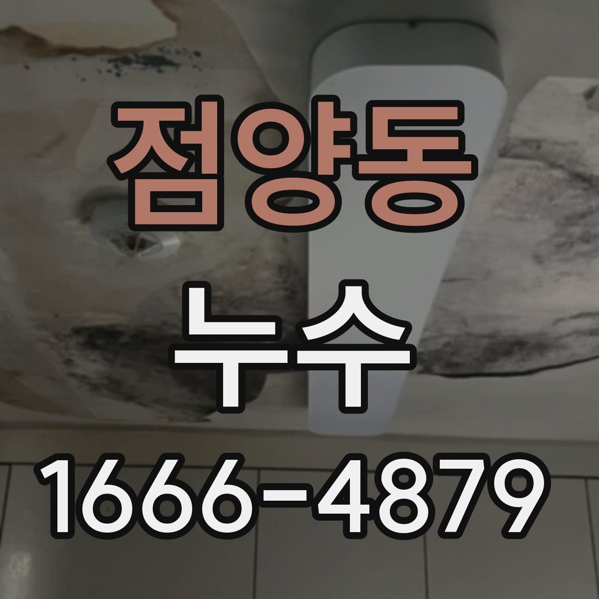 점양동 누수
