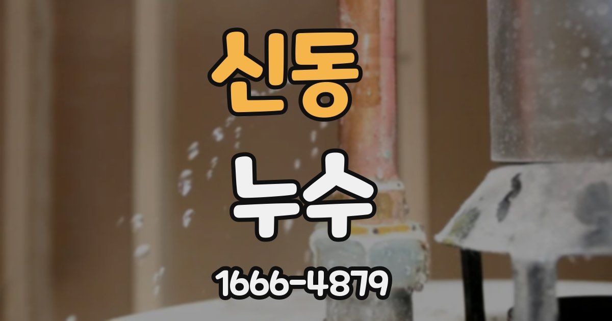 신동 누수