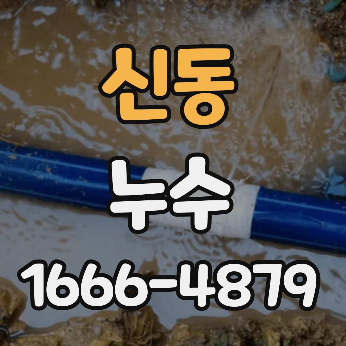 신동 누수