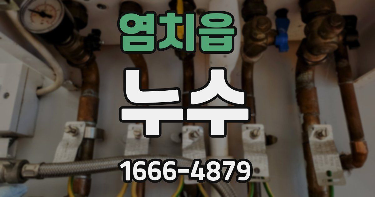 염치읍 누수