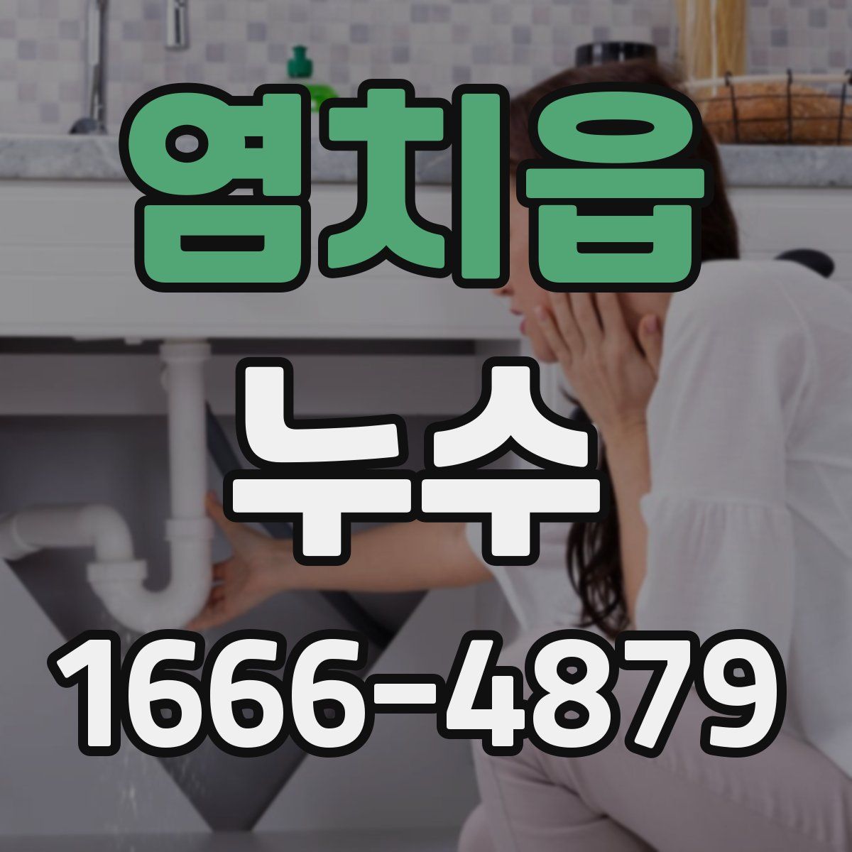 염치읍 누수
