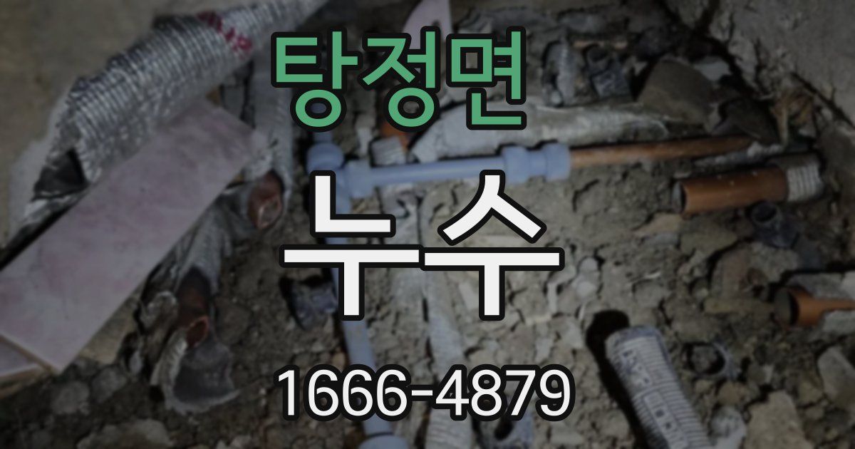 탕정면 누수