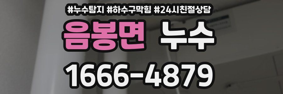 음봉면 누수