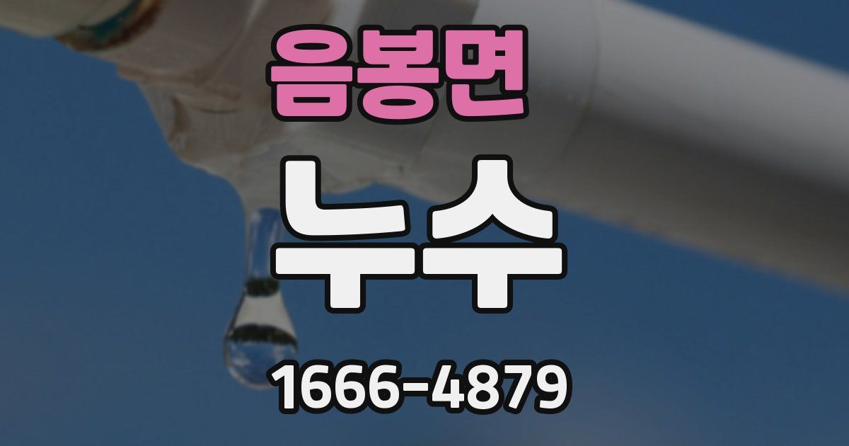 음봉면 누수