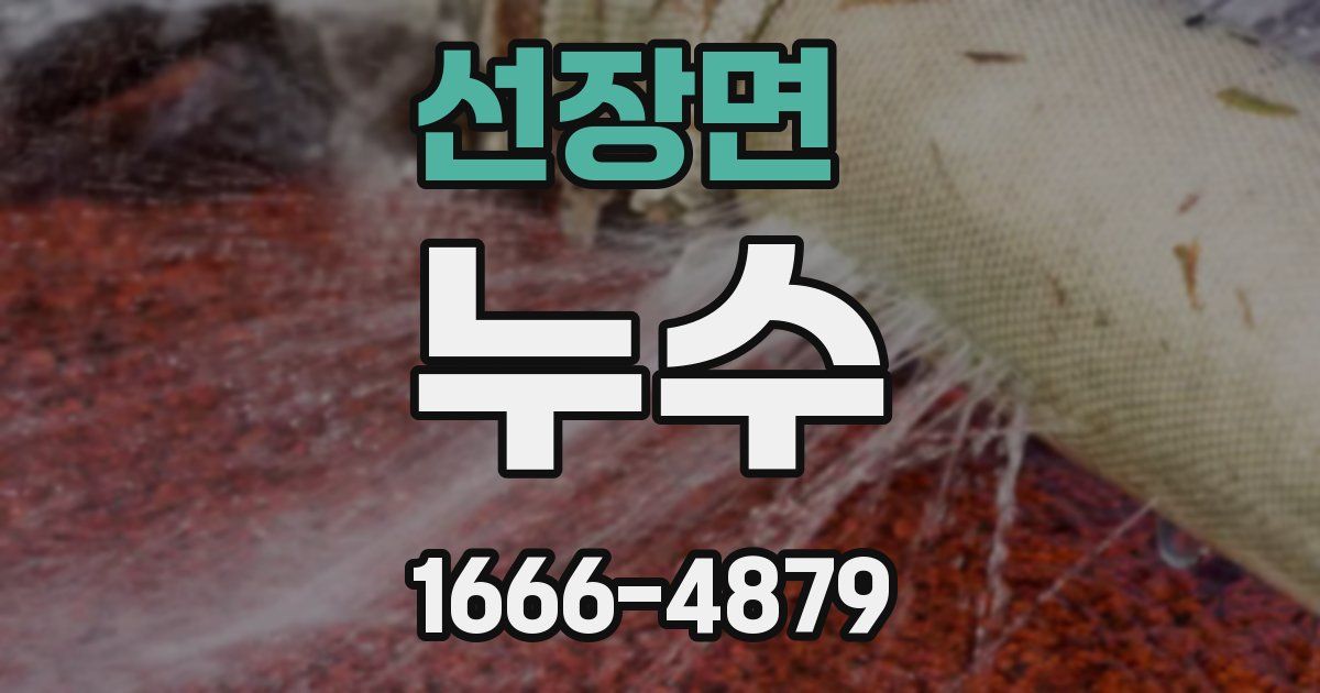 선장면 누수