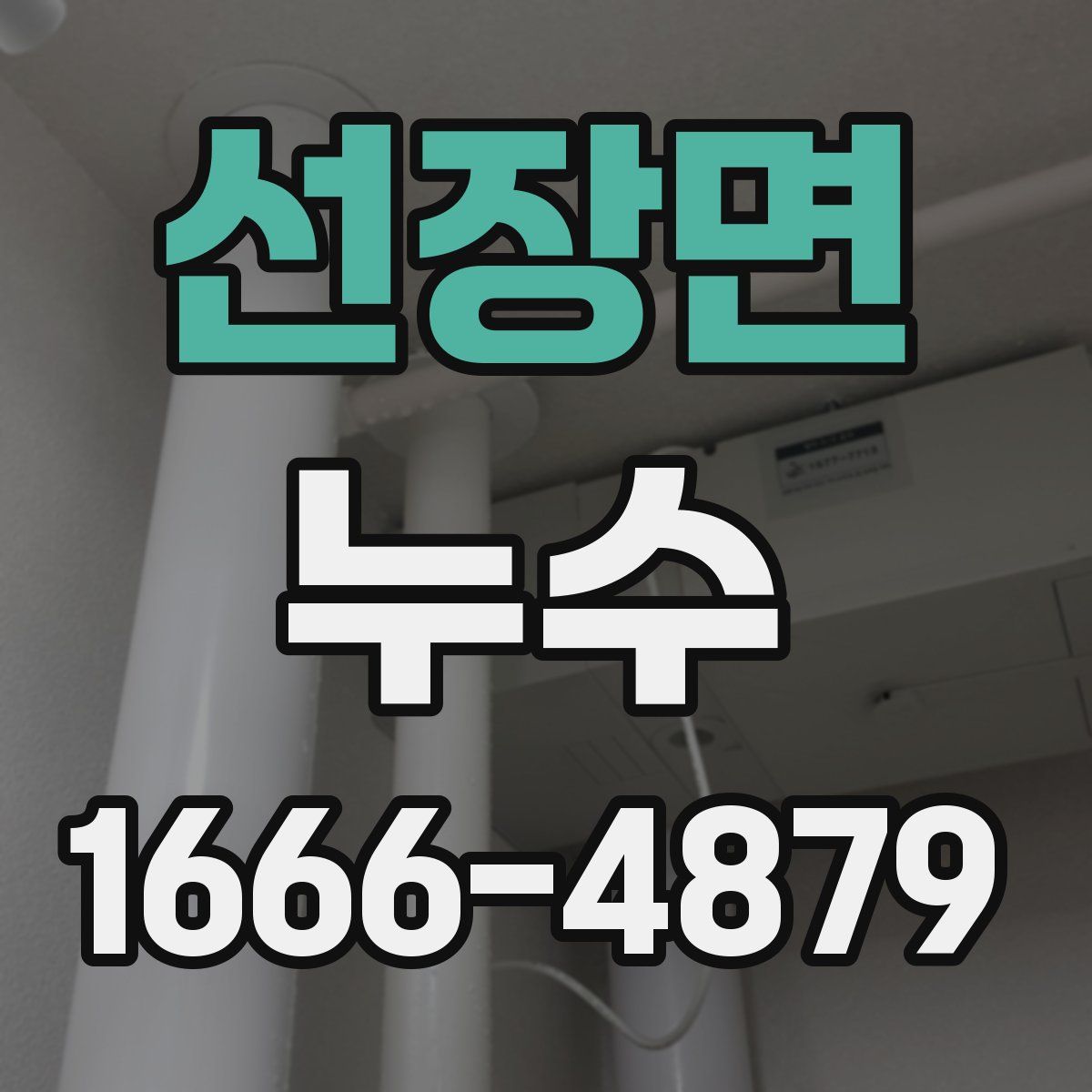 선장면 누수