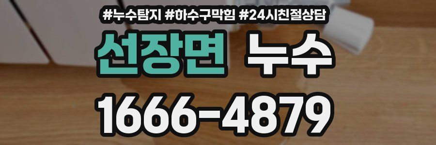 선장면 누수