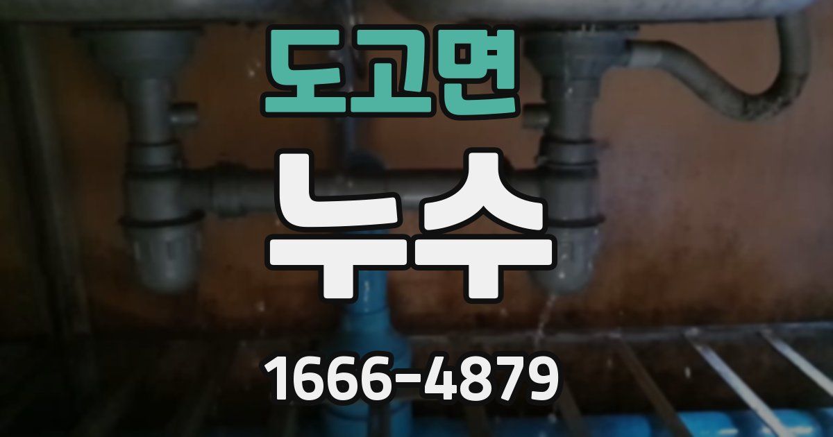 도고면 누수