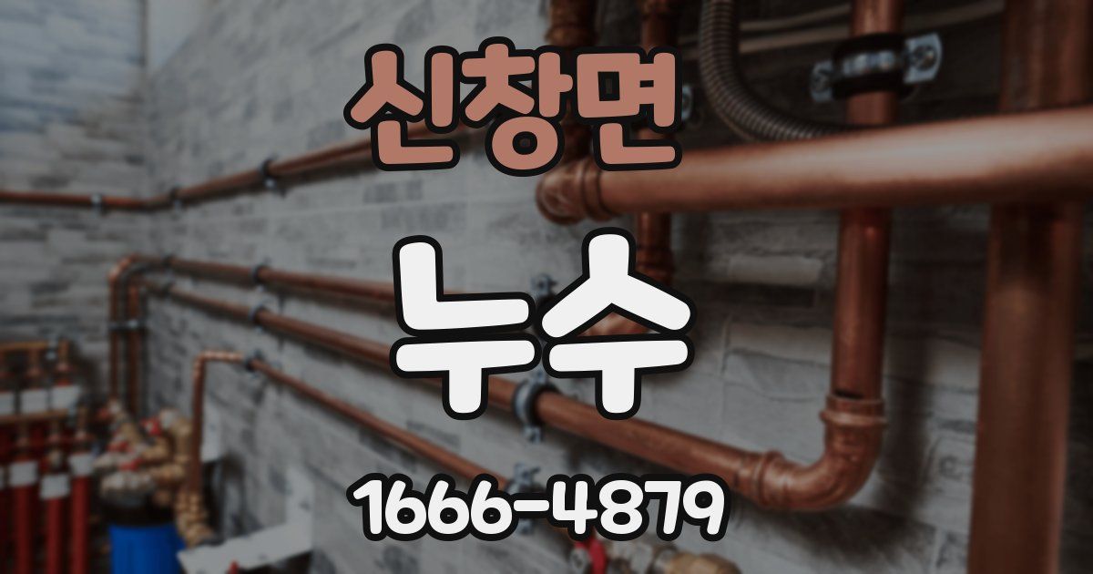신창면 누수