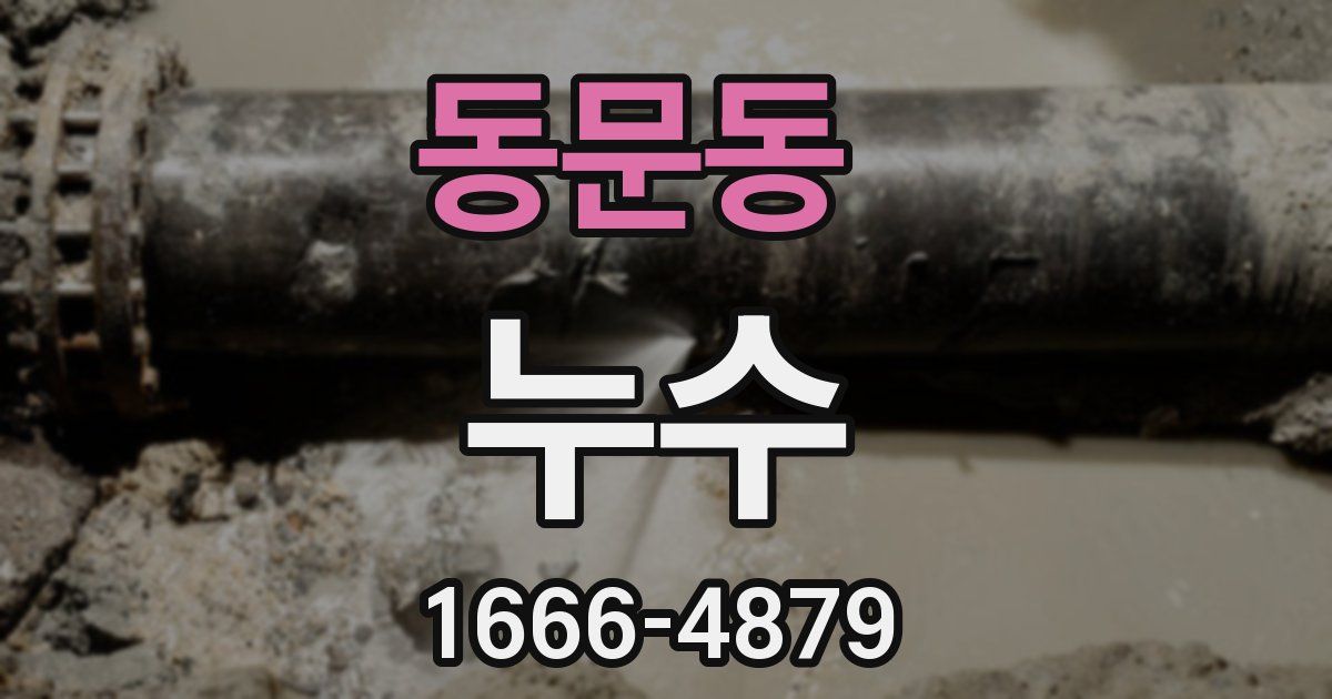 동문동 누수
