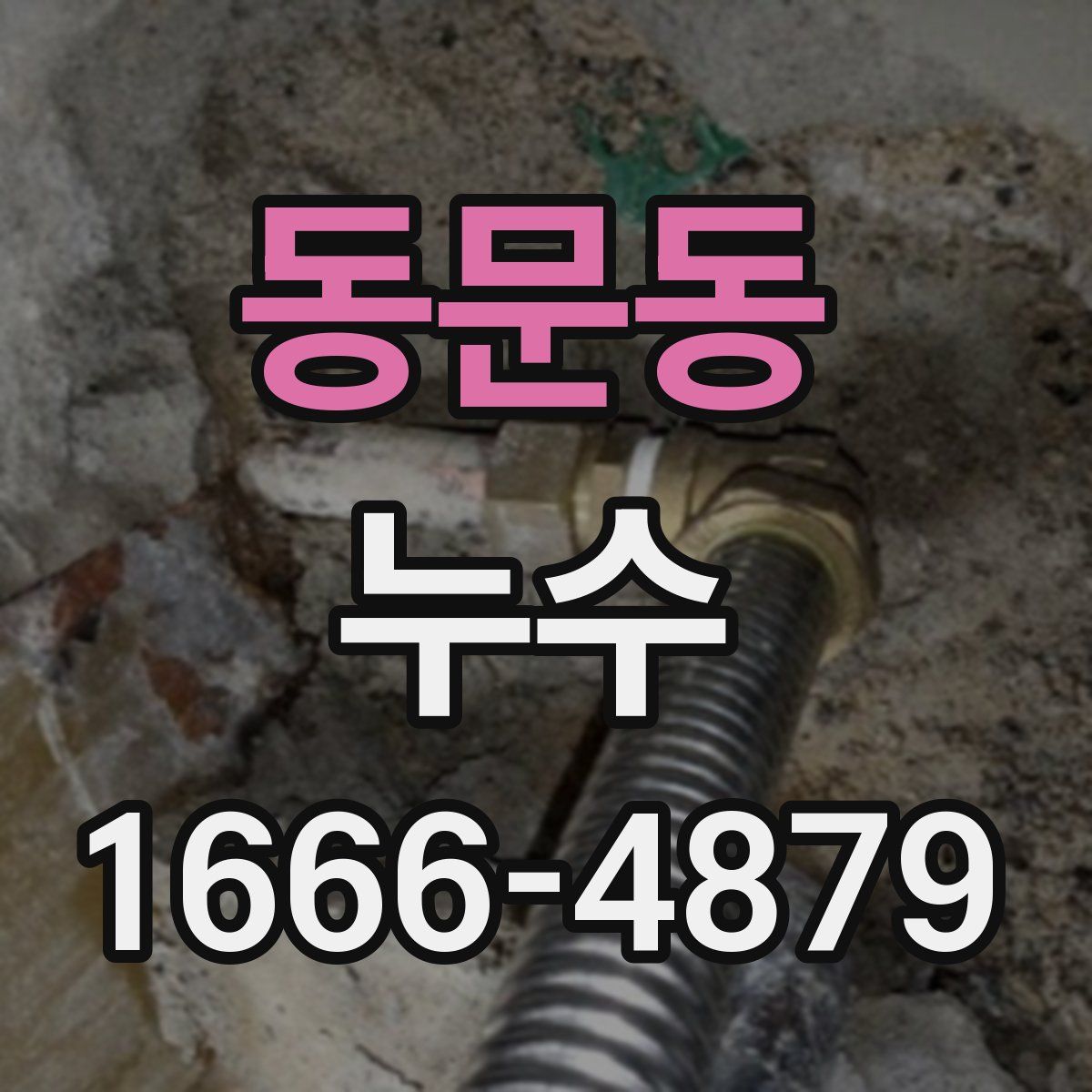 동문동 누수