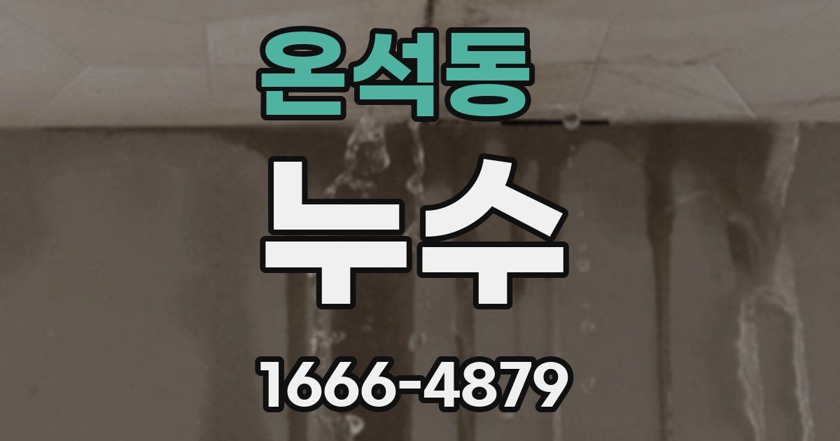 온석동 누수