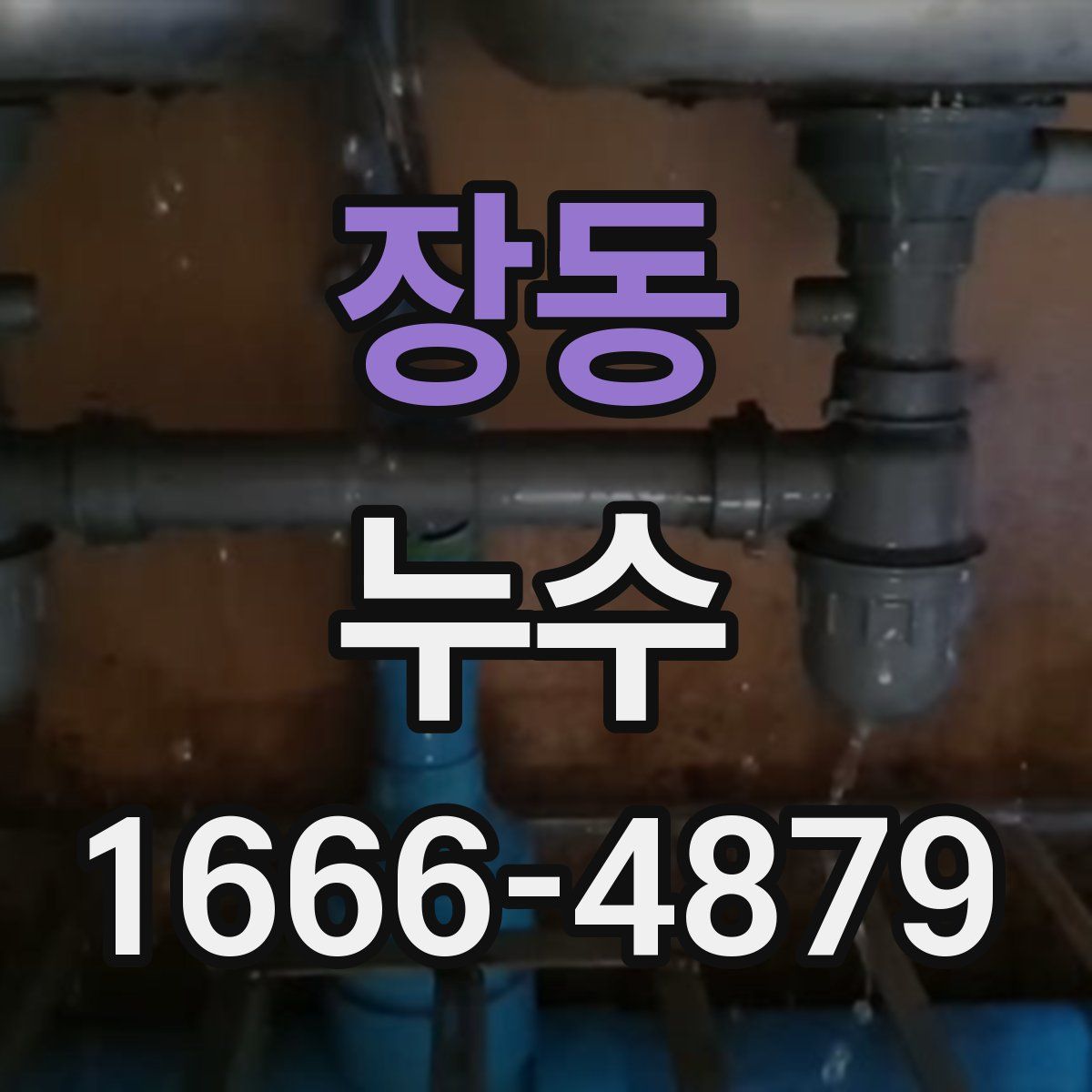 장동 누수