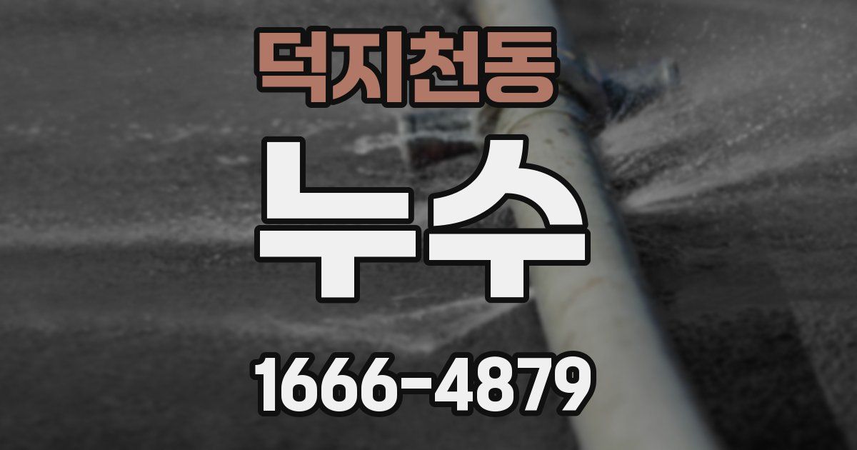덕지천동 누수