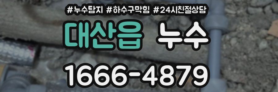 대산읍 누수