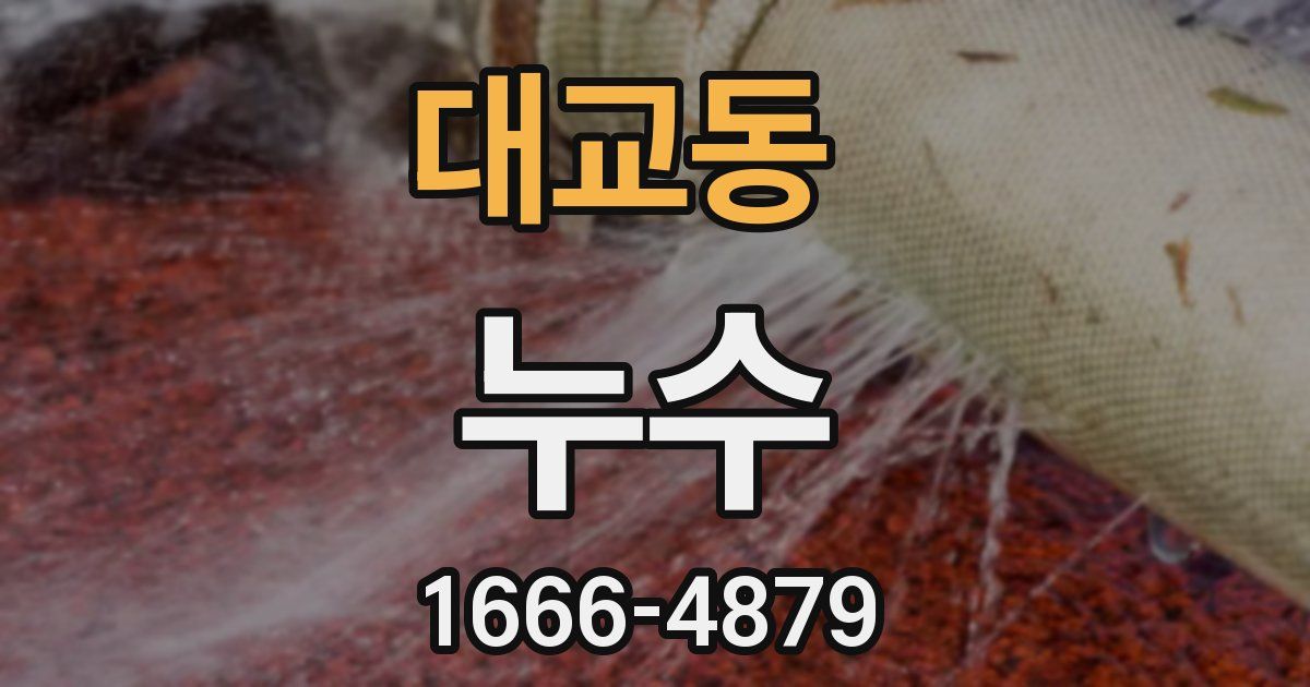 대교동 누수