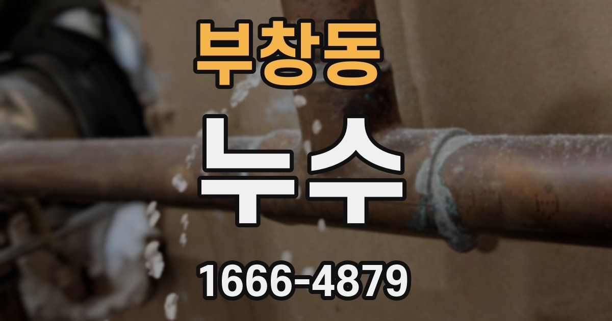 부창동 누수