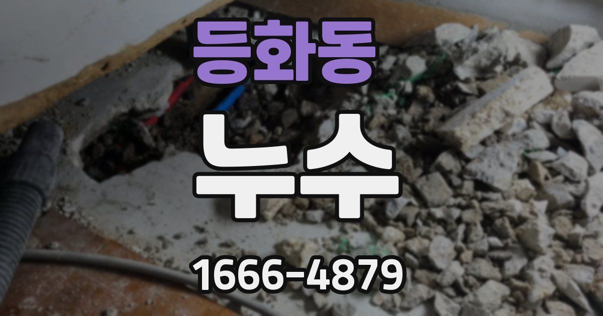 등화동 누수