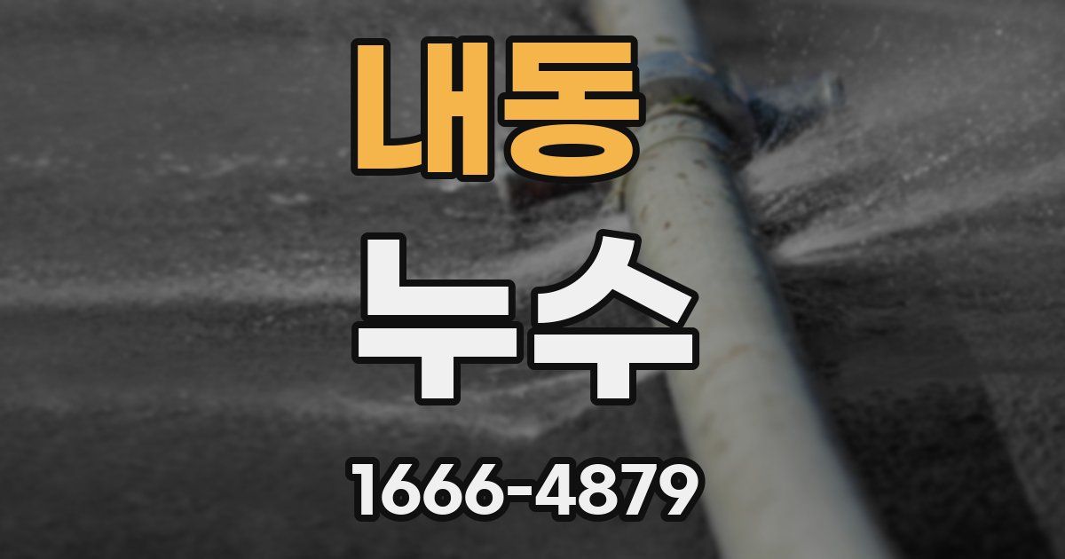 내동 누수