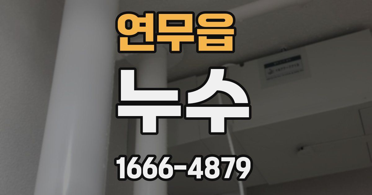 연무읍 누수