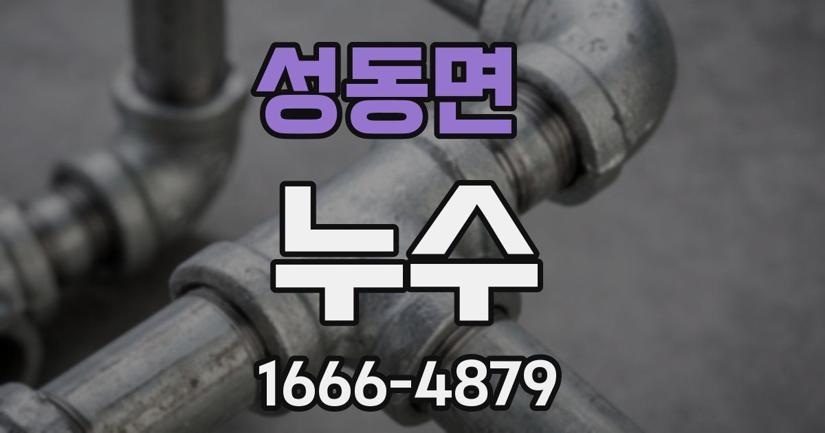 성동면 누수