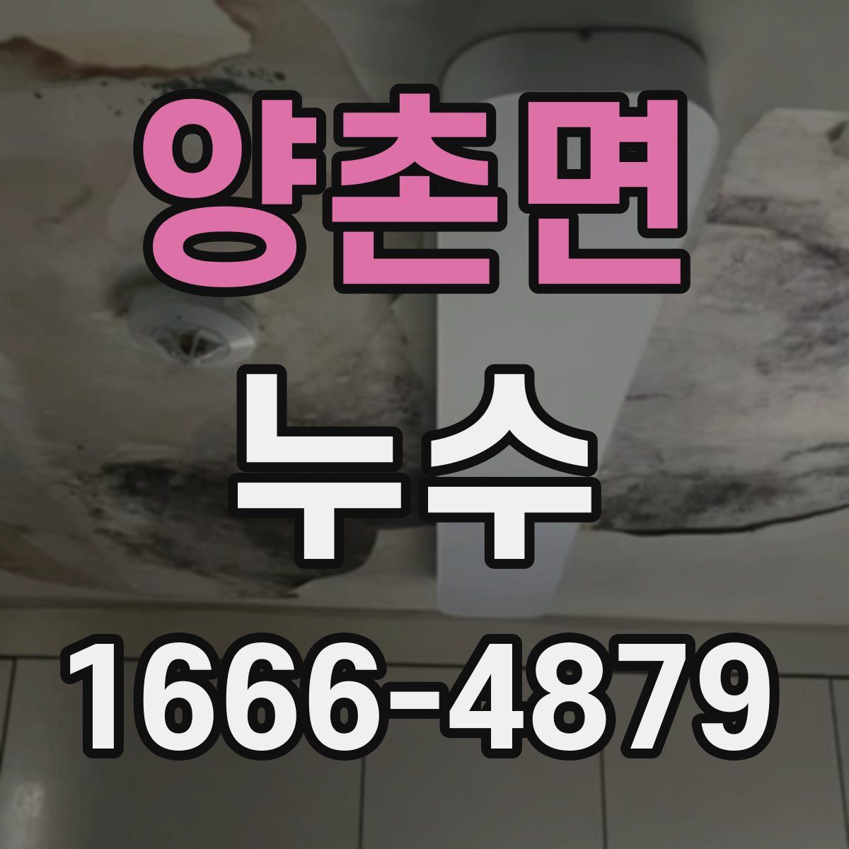 양촌면 누수
