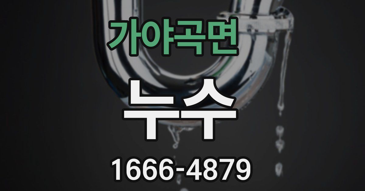 가야곡면 누수