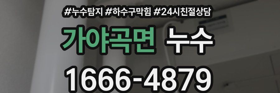 가야곡면 누수
