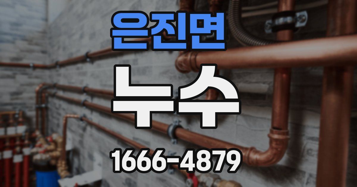 은진면 누수