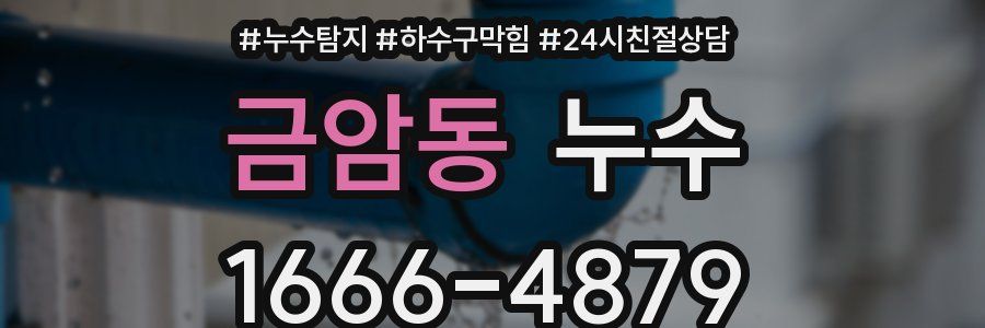 금암동 누수