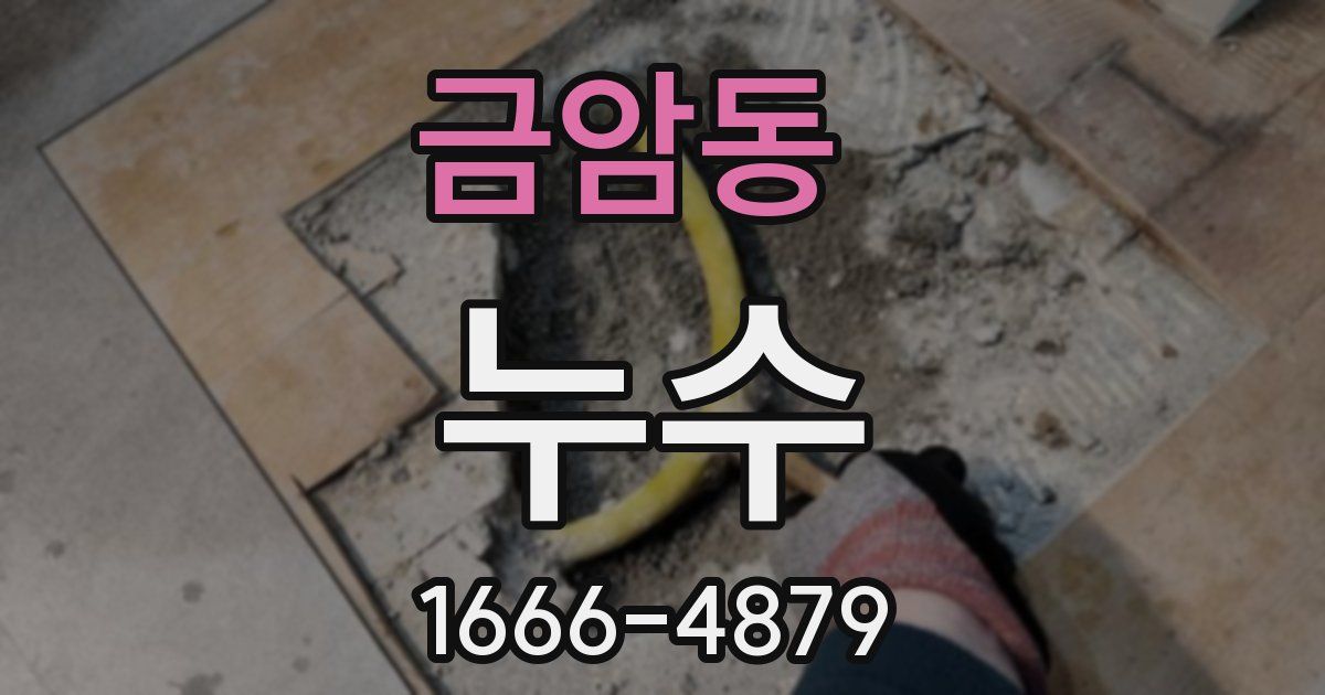 금암동 누수