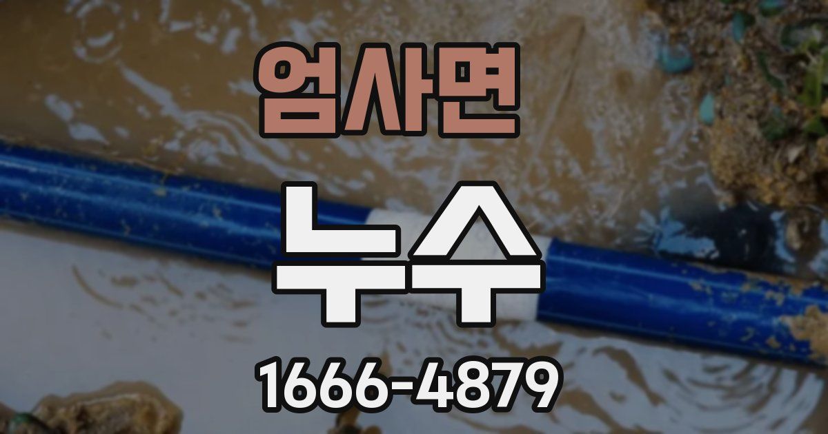 엄사면 누수