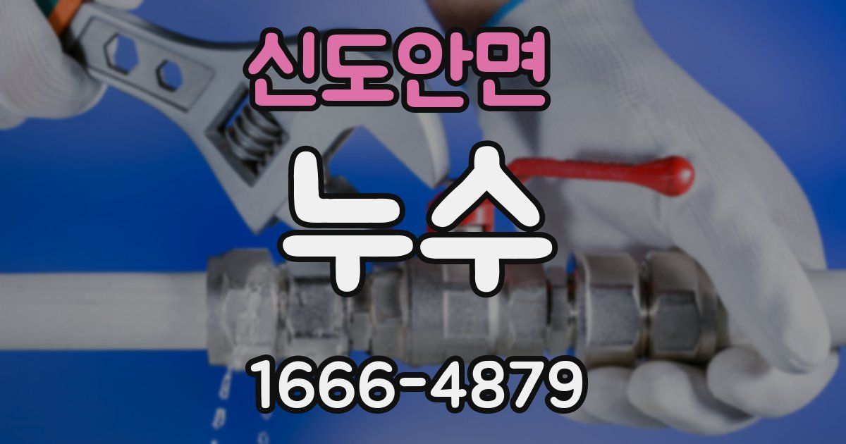 신도안면 누수